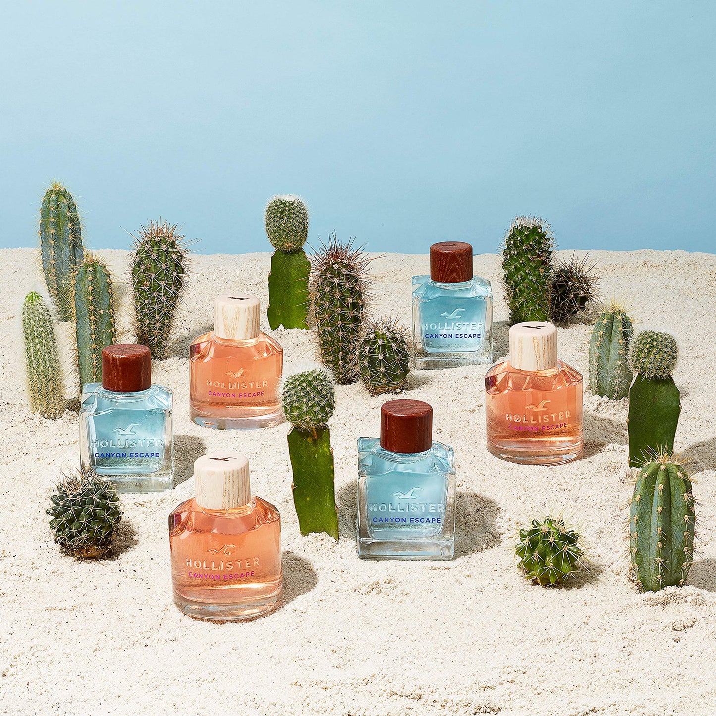 Hollister Canyon Escape 3.4 oz Eau de Parfum for Women
