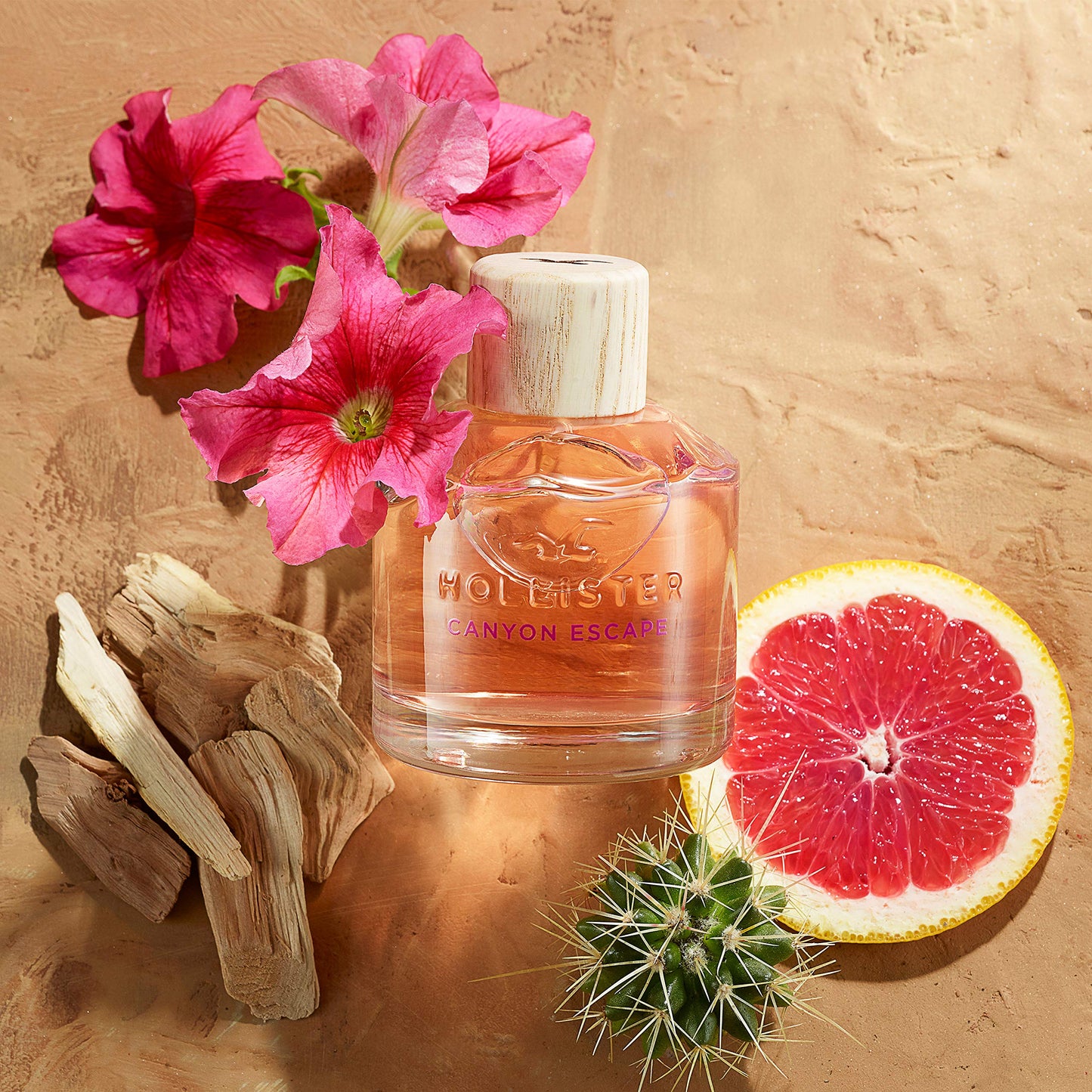 Hollister Canyon Escape 3.4 oz Eau de Parfum for Women