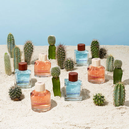Hollister Canyon Escape 3.4 oz Eau de Parfum for Women